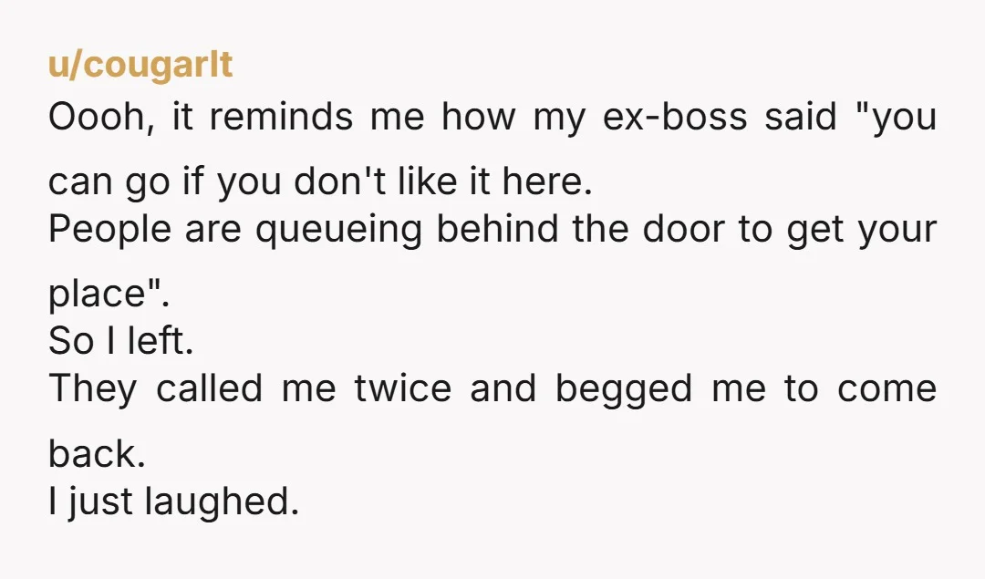 u/cougarlt Oooh, it reminds me how my ex-boss said "you can go if you don't like it here. People are queueing behind the door to get your place". So I...