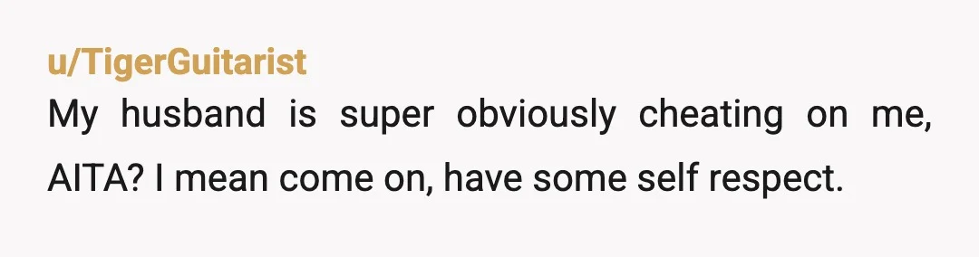 u/TigerGuitarist
My husband is super obviously cheating on me, AITA? I mean come on, have some self respect. 
