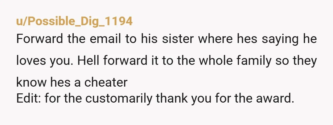 u/Possible_Dig_1194 Forward the email to his sister where hes saying he loves you. Hell forward it to the whole family so they know hes a cheater Edit: for the customarily...