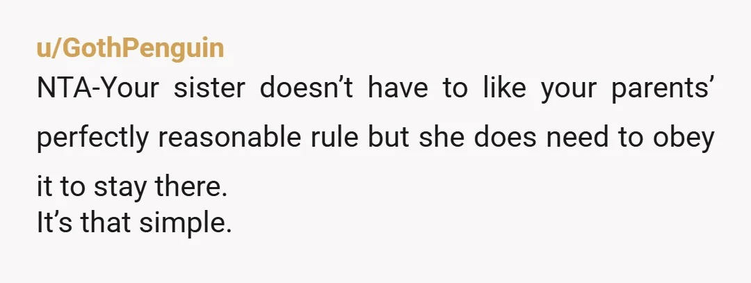 u/ICXPDQ NTA - Their house, their rules. You respect the rules. Your sister doesn't. Consequences ensue. She moves out and has sex with whomever the heck she wants. Life goes...
