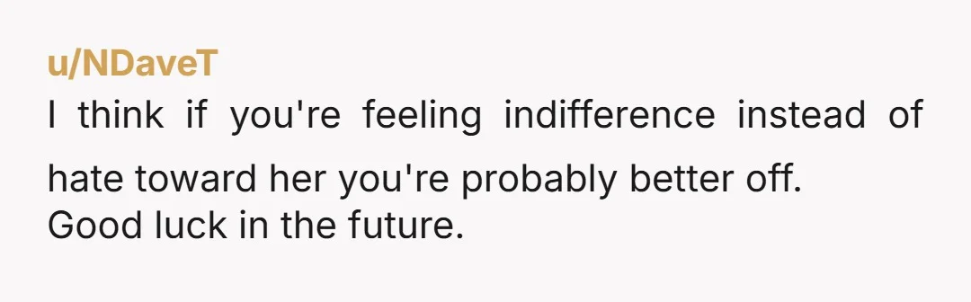 u/NDaveT
I think if you're feeling indifference instead of hate toward her you're probably better off.
Good luck in the future.