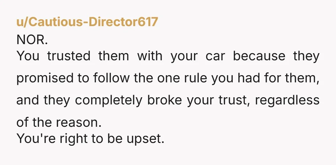 u/EnvironmentalTea9362 Am I the only one who questions that a 17-year old car would be valued at $10k?