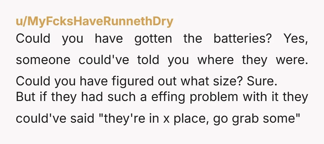 u/MyFcksHaveRunnethDry Could you have gotten the batteries? Yes, someone could've told you where they were. Could you have figured out what size? Sure. But if they had such a effing...