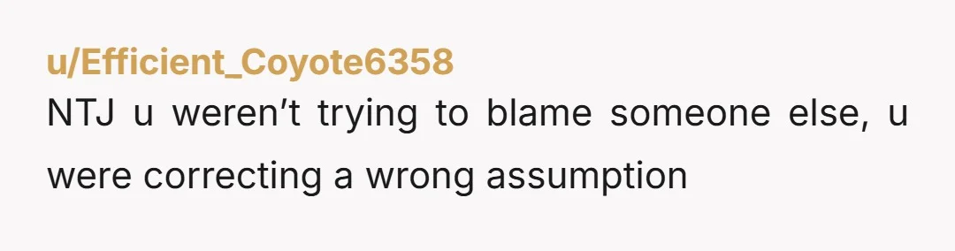 u/Efficient_Coyote6358 NTJ u weren’t trying to blame someone else, u were correcting a wrong assumption