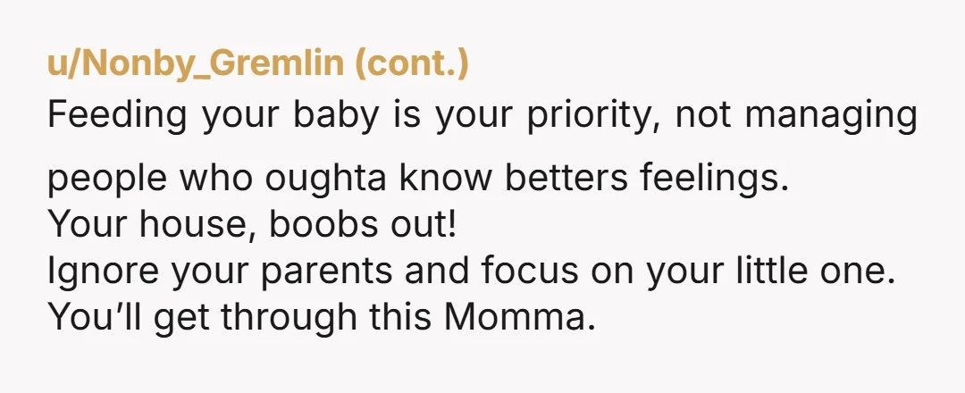 u/swtpmmfrte You're not the AH! Also a little story for a laugh: I visited a (male) friend with my then newborn daughter, whipped out my boob to feed her on...