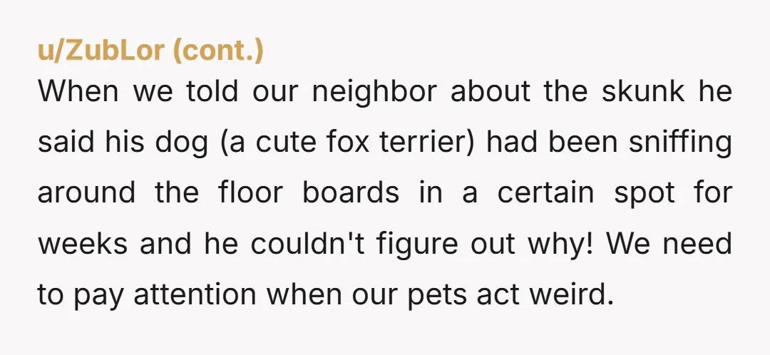 u/Cute_Celebration_213 We’re always amazed by our furbabies aren’t we! Love them all!!💕😘