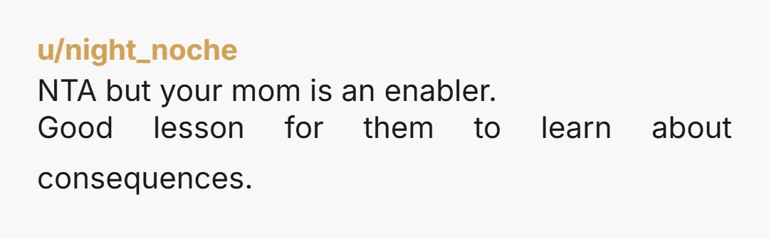 u/night_noche
NTA but your mom is an enabler.
Good lesson for them to learn about consequences.