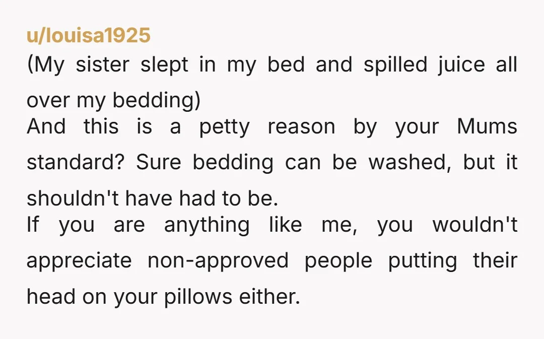 u/louisa1925 (My sister slept in my bed and spilled juice all over my bedding) And this is a petty reason by your Mums standard? Sure bedding can be washed, but...