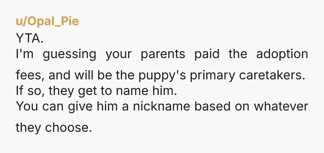 u/Kindly_Jellyfish_451 “My mom then said, ‘If you won’t change the dog’s name, it will be a personal attack against me.’” Seriously? Sheesh. It’s probably not worth the fight, but wow,...