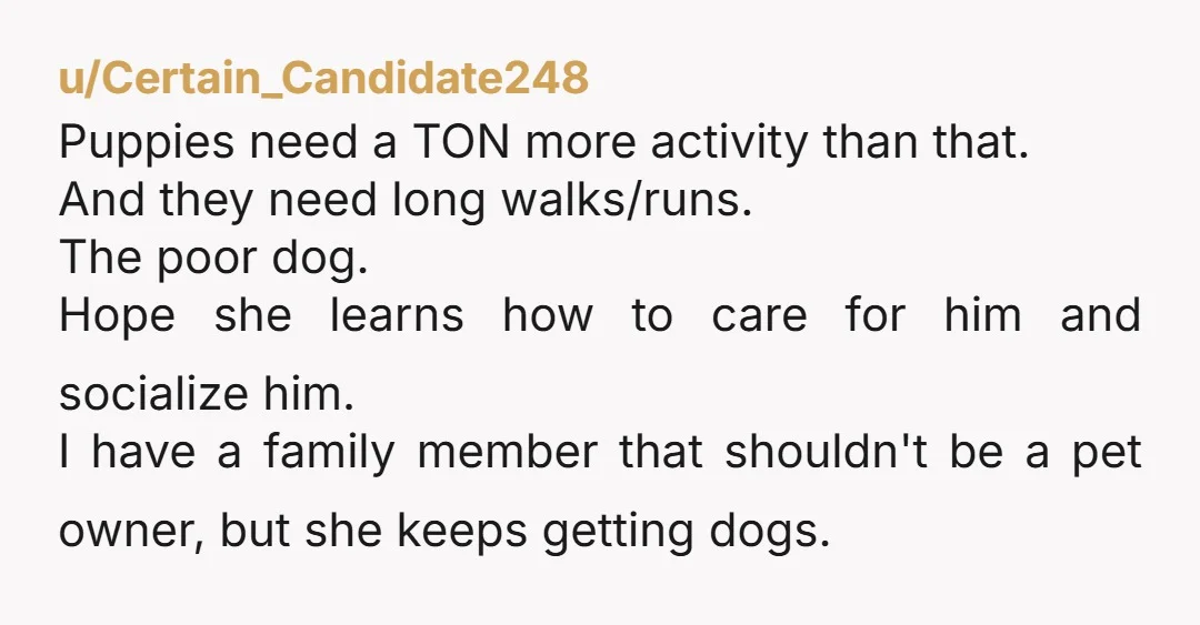 u/Physical_Cod_8329 NTA. I would’ve told her to come home or book somewhere else for the puppy to stay because I would not do it.