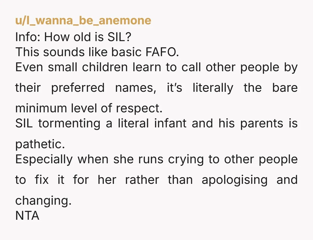 u/I_wanna_be_anemone Info: How old is SIL?  This sounds like basic FAFO. Even small children learn to call other people by their preferred names, it’s literally the bare minimum level of...