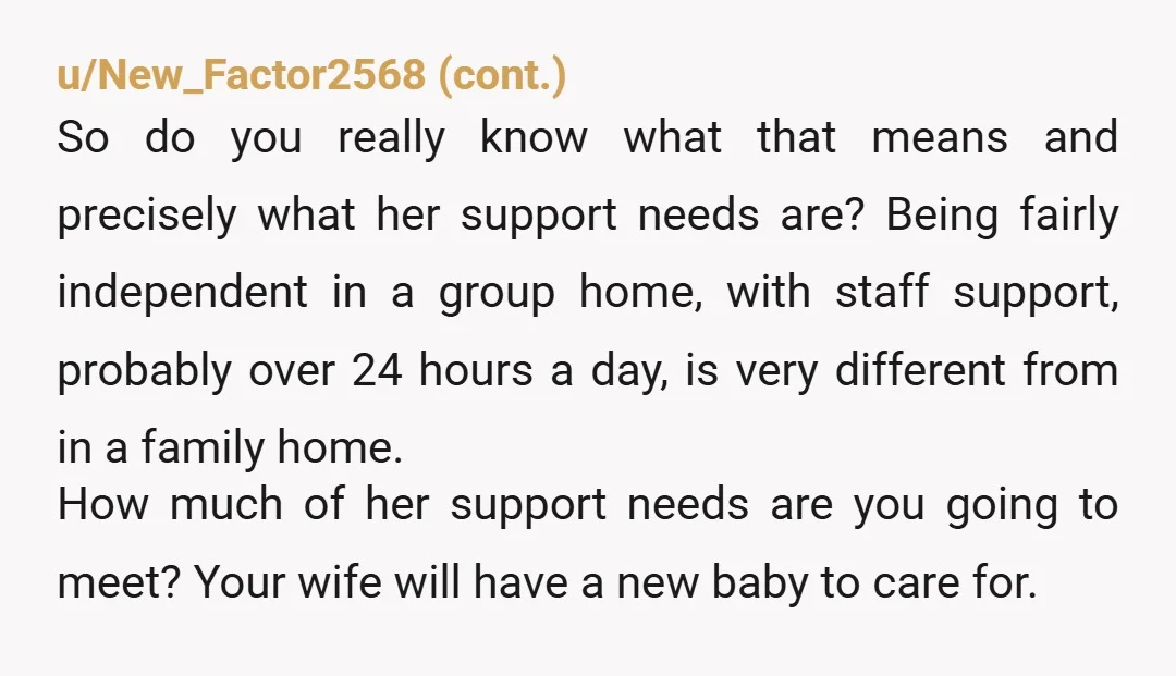 u/Solid_Translator5475 Is the plan that your wife is going to be your sisters caretaker? Then I get that your wife wants to prioritise hers and yours baby and not your...