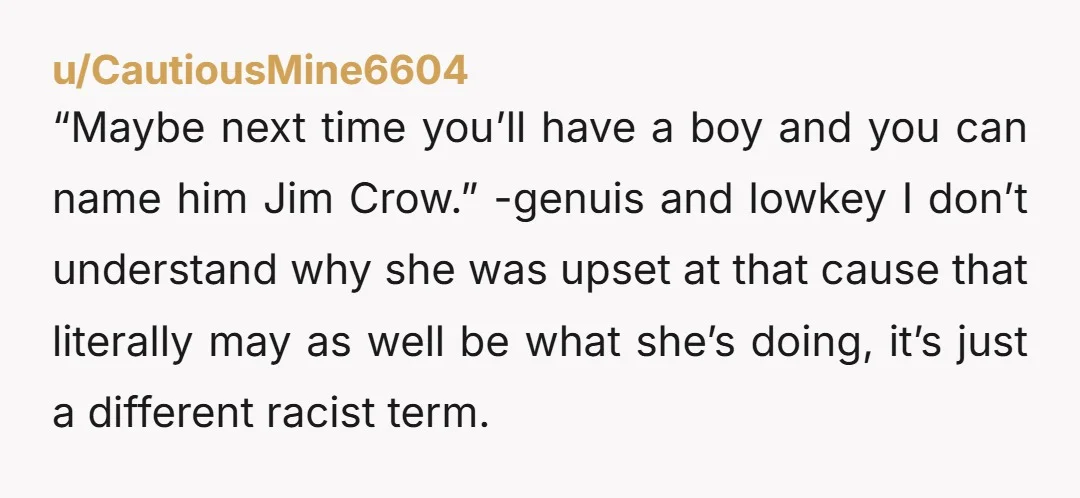 u/CautiousMine6604 “Maybe next time you’ll have a boy and you can name him Jim Crow.” -genuis and lowkey I don’t understand why she was upset at that cause that literally...