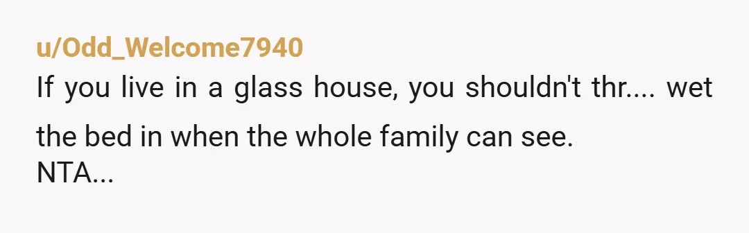 u/Odd_Welcome7940 If you live in a glass house, you shouldn't thr.... wet the bed in when the whole family can see. NTA... On a sidenote and I am not saying...