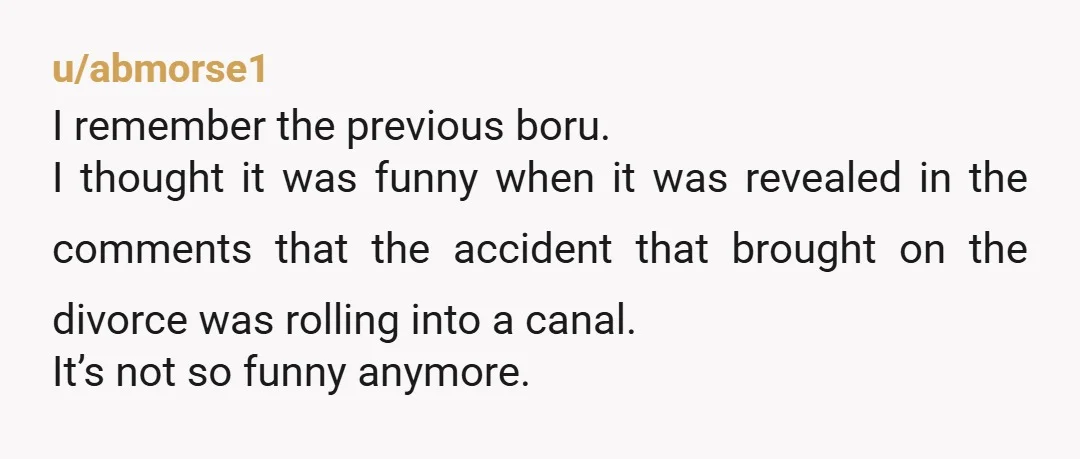 u/abmorse1 I remember the previous boru. I thought it was funny when it was revealed in the comments that the accident that brought on the divorce was rolling into a...