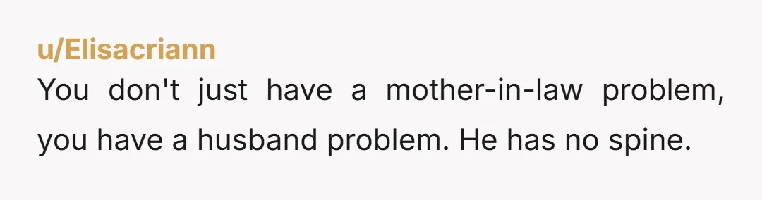 u/PlantyPenPerson
NTA, the AH is your husband who won't set boundaries with his mommy.