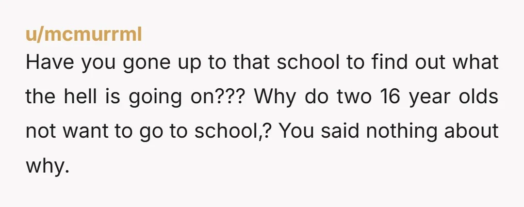 u/makingitrein As a mother of toddler twins. This is exactly what I would do is this situation. You are not wrong.