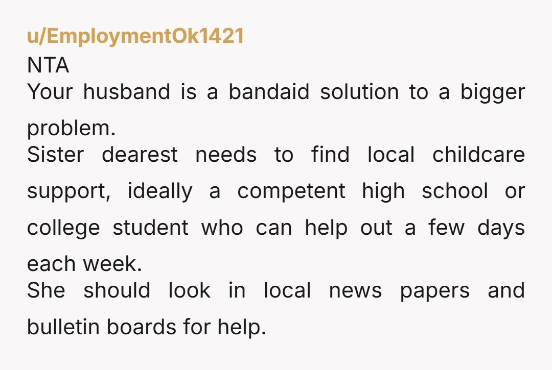 u/EmploymentOk1421 NTA Your husband is a bandaid solution to a bigger problem. Sister dearest needs to find local childcare support, ideally a competent high school or college student who can...