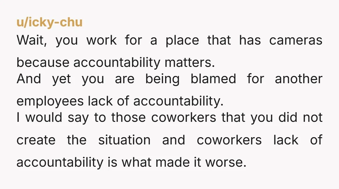 u/icky-chu Wait, you work for a place that has cameras because accountability matters. And yet you are being blamed for another employees lack of accountability. I would say to those...
