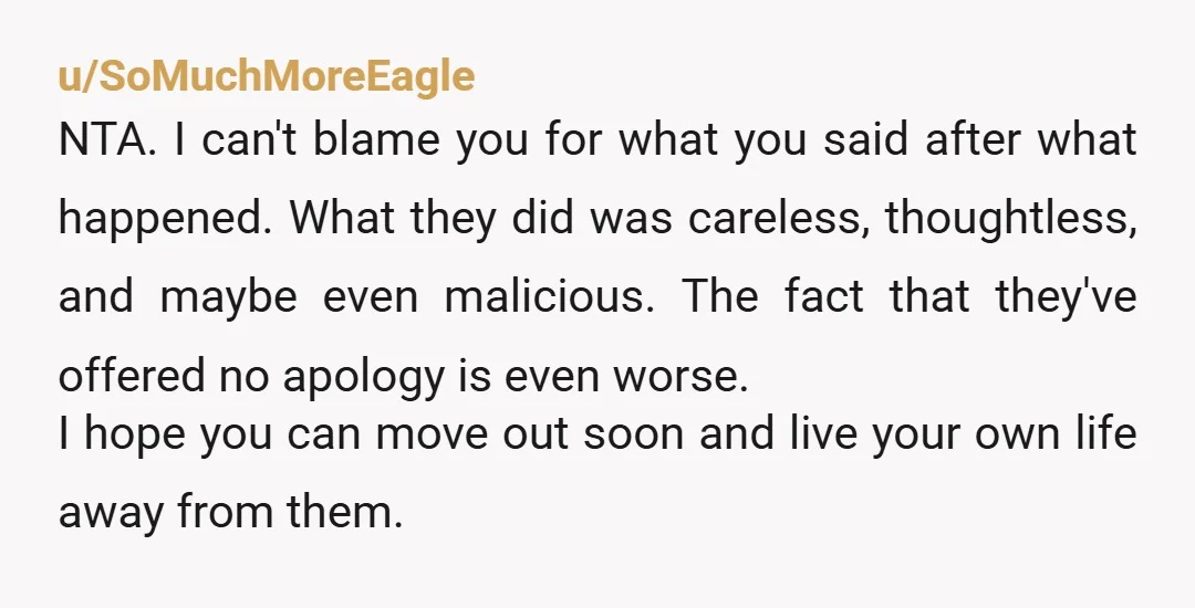 u/SoMuchMoreEagle NTA. I can't blame you for what you said after what happened. What they did was careless, thoughtless, and maybe even malicious. The fact that they've offered no apology...