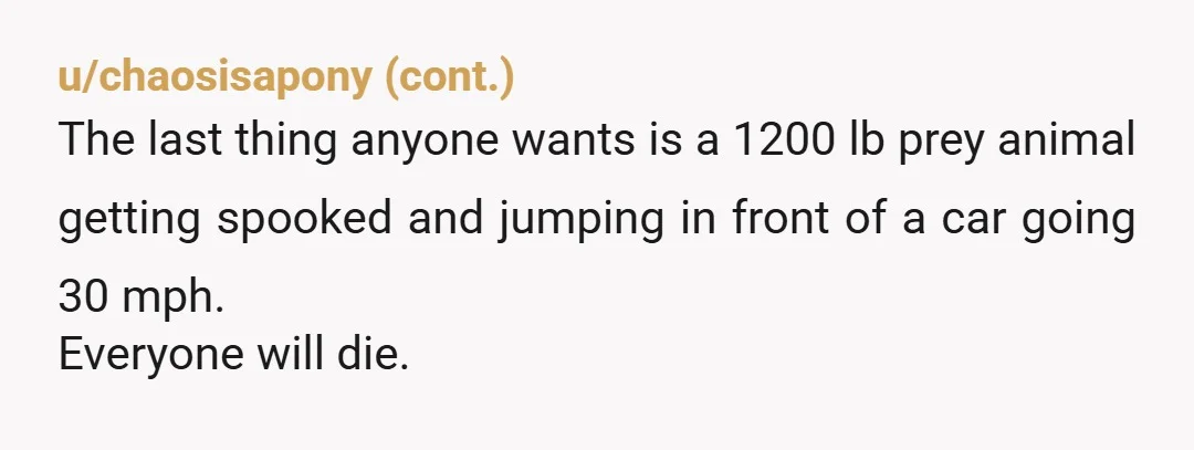 u/Nimue_- 30mph so nearly 50kmph is still really fast to go by a horse. Honestly, that speed shouldve obviously been to fast depending on how much room there actually was...