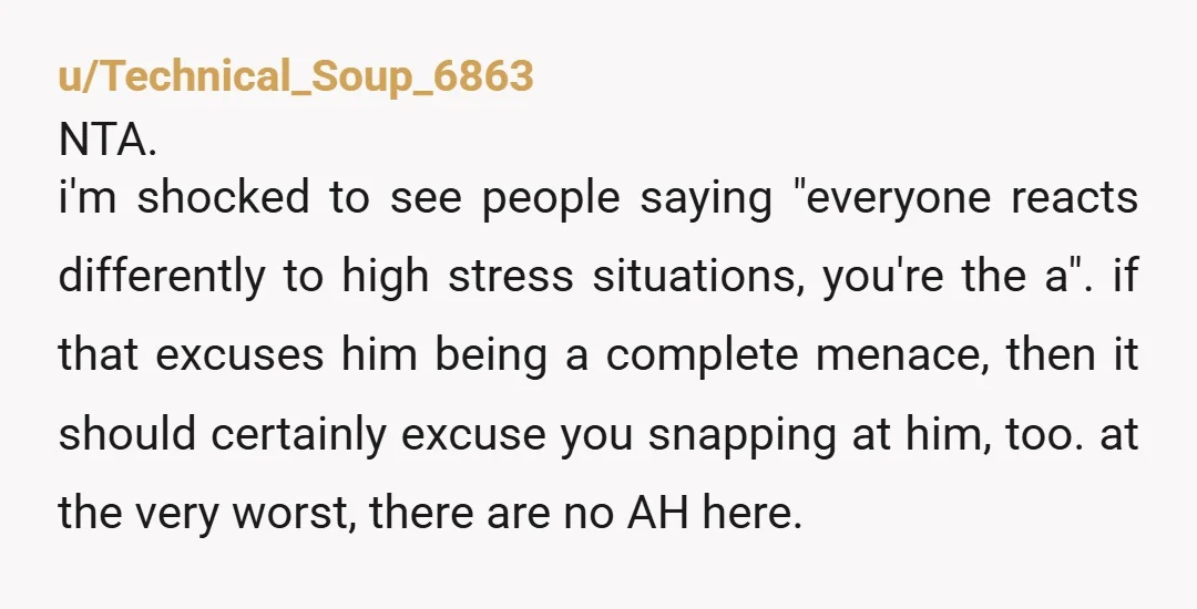 u/Spicy_Molasses4259 NTA - He wasn't managing the kids while you were helping your friend AND he wasn't the one attending to his gravely sick wife. He did nothing and that...