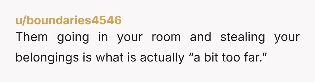 u/boundaries4546 Them going in your room and stealing your belongings is what is actually “a bit too far.”