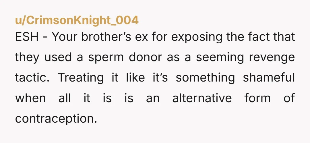 u/Classic_Special7045 ESH. If they had a child together, it's his son, not his "son", and your brother is an AH for walking out of his child's life after his divorce....