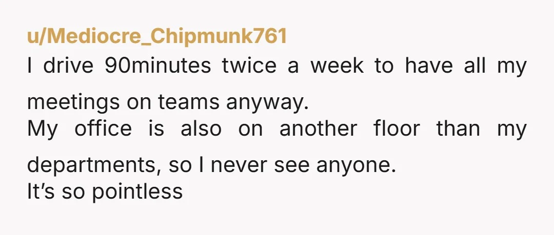 u/Mediocre_Chipmunk761 I drive 90minutes twice a week to have all my meetings on teams anyway. My office is also on another floor than my departments, so I never see anyone....