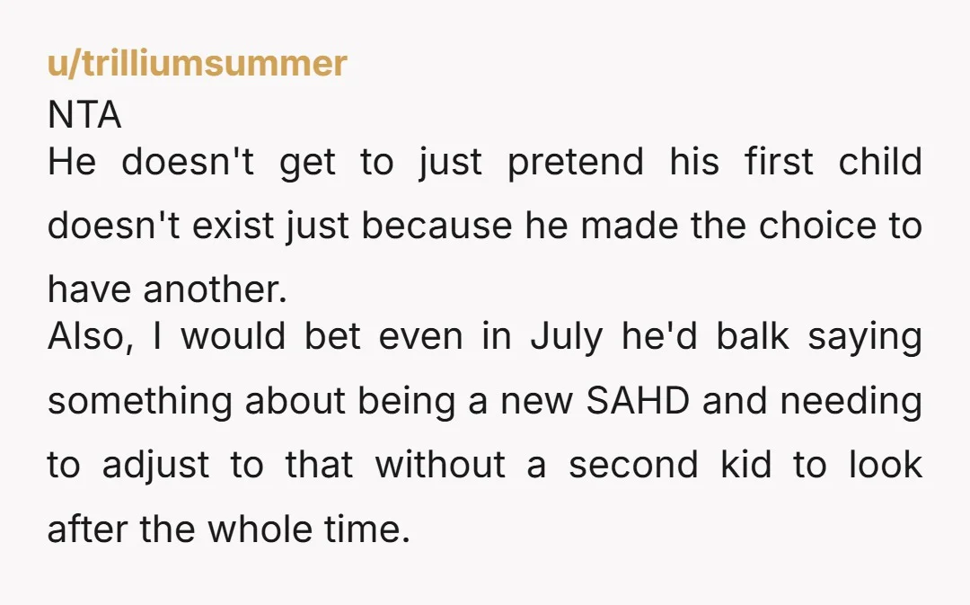 u/trilliumsummer NTA He doesn't get to just pretend his first child doesn't exist just because he made the choice to have another. Also, I would bet even in July he'd...