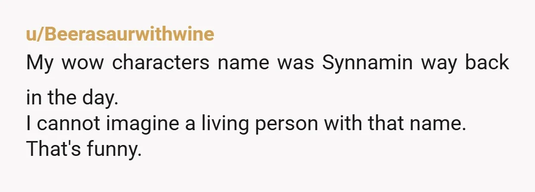 u/Beerasaurwithwine
My wow characters name was Synnamin way back in the day.
I cannot imagine a living person with that name.
That's funny.