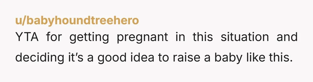 u/babyhoundtreehero
YTA for getting pregnant in this situation and deciding it’s a good idea to raise a baby like this.