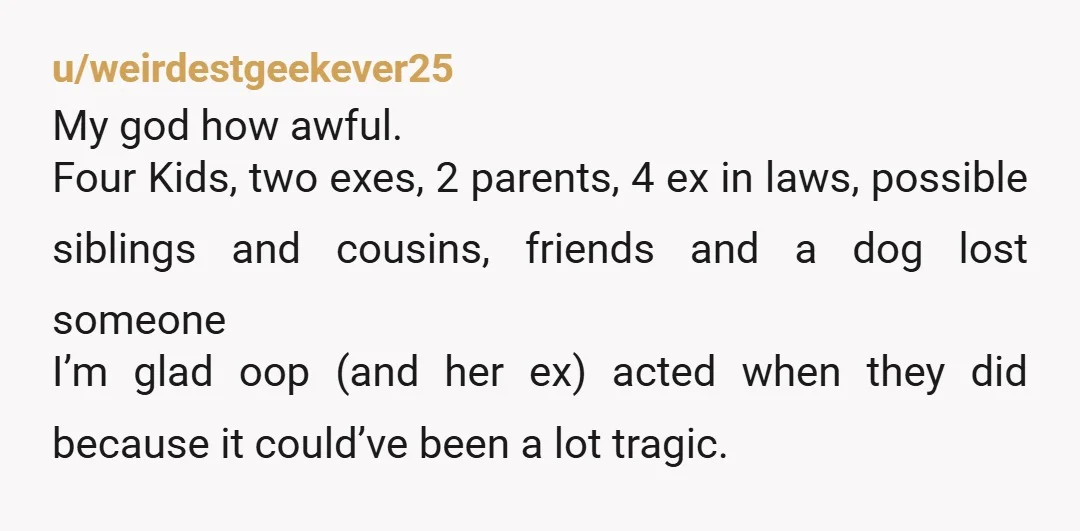 u/weirdestgeekever25 My god how awful. Four Kids, two exes, 2 parents, 4 ex in laws, possible siblings and cousins, friends and a dog lost someone I’m glad oop (and her...