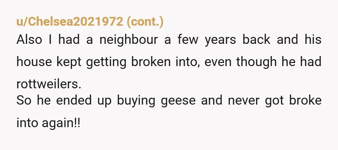 u/Drak_is_Right A lot of geese are rather placid after you stand up to them. Once they realize you arent afraid of them, they then realize they are prey animals and...