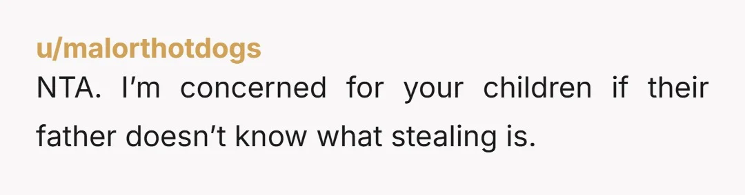 u/Tynelia23 NTA OP. That mean old monster-in-law stole from you, using your baby boy and her own oblivious son. It's great she raised a man to look for the good...