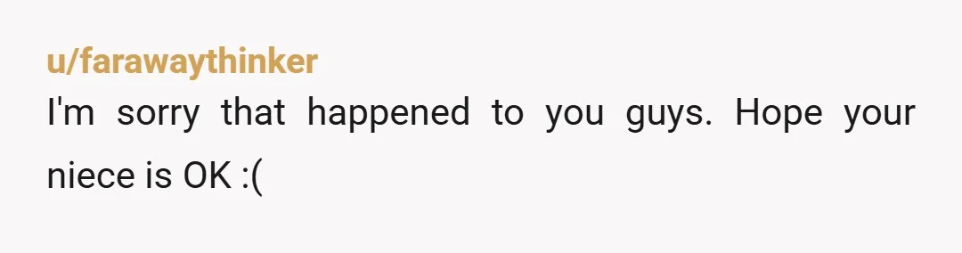 u/farawaythinker I'm sorry that happened to you guys. Hope your niece is OK :(