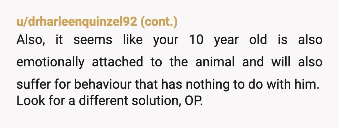 u/CuriousCorvidCurio Ah yes, make him resent school further, surely that will motivate him! /s YTA. 1. Pets are living beings, not toys. Don't treat it like one. 2. He saved...