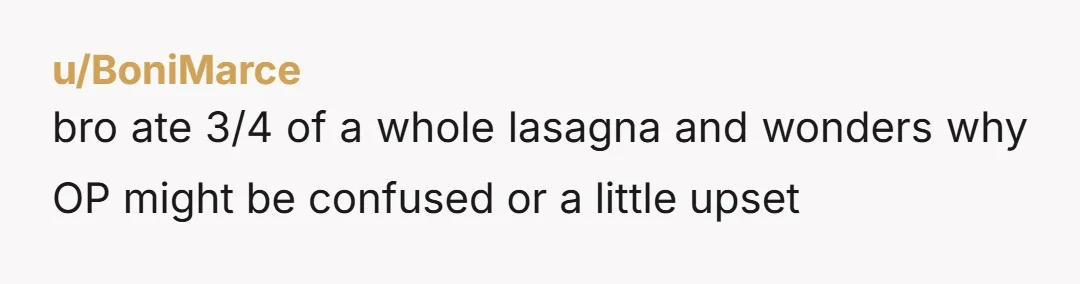 u/BoniMarce bro ate 3/4 of a whole lasagna and wonders why OP might be confused or a little upset