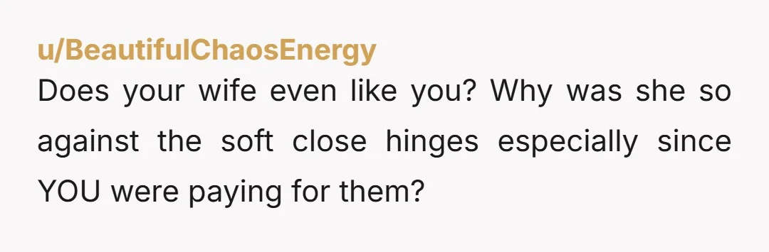 u/Local_business_disco Why did she cut the soft-close hinges from the budget? That coupled with the slamming almost seems intentional. I never slam cabinets unless on purpose. This is unhinged behavior,...