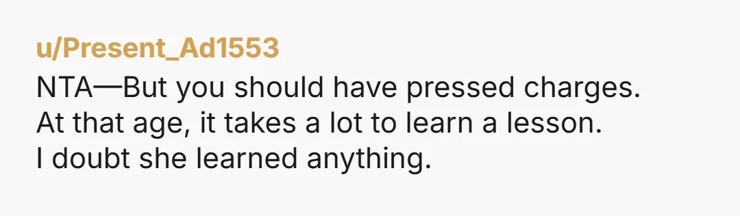 u/Present_Ad1553 NTA—But you should have pressed charges. At that age, it takes a lot to learn a lesson. I doubt she learned anything.