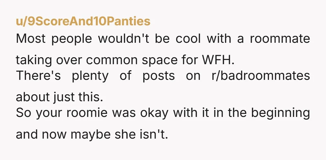 u/Practical_Use_1654
Maybe she shouldn't invite people over while you're working as it's inconsiderate to your work.
