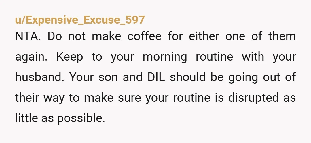 u/Wonderful_Two_6710 NTA. The entitlement is ridiculous. I'd tell my son the next text he sends me about "not being hospitable" should also contain his forwarding address, because he'd be gone....