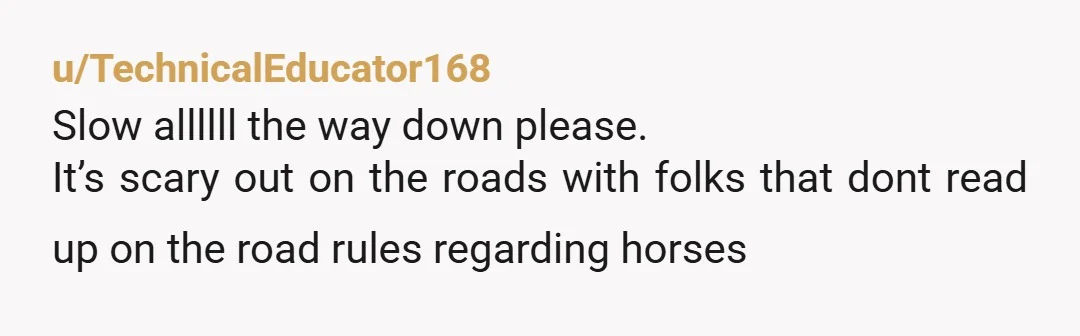 u/tsukinofaerii NTA, and this is coming from a once-upon-a-time rider (haven't in years; it's an expensive hobby). Politeness would be to slow to about 5-10 MPH and give them a...