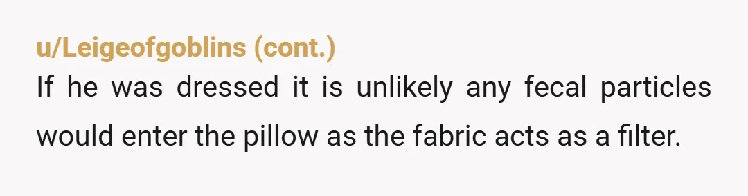 u/Comprehensive_Home78 Having a young adult daughter who is autistic I can understand why you don't ever want to use the pillow again. For you it's unredeemable as it's never going...