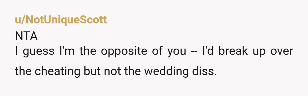 u/NotUniqueScott NTA I guess I'm the opposite of you -- I'd break up over the cheating but not the wedding diss.
