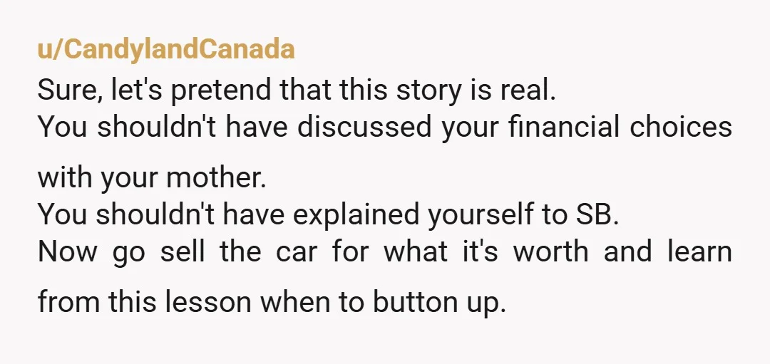 u/blurblurblahblah
Why would you tell your mother you were selling the car instead of just selling it on your own? You're a grown man & it's none of her business