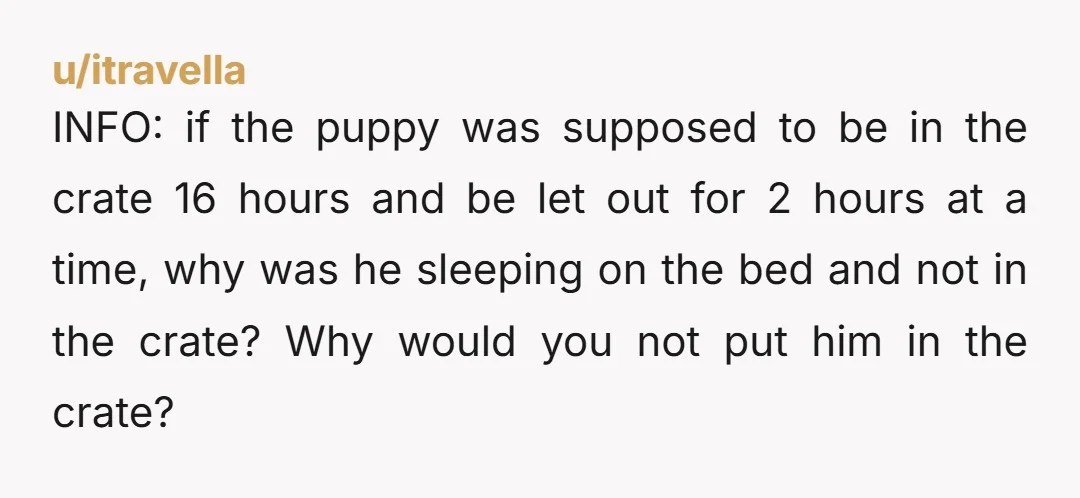 u/Slick_Knick_ NTA You agreed to watch a puppy, not to be dropped into an unmanaged behavioral situation with sleep deprivation and missing information. The key issue is that she withheld...