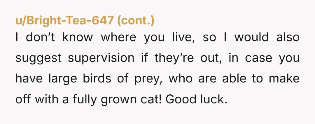 u/Enough_Passage7926 Not sure why you'd need your neighbors insight/permission to putting something on your own property?