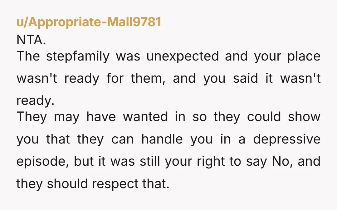 u/Effective_Olive_8420 NTA. Your mom has no respect for your boundaries. Getting yourself out of a depression is so difficult. She never should have brought them along after you were clear....