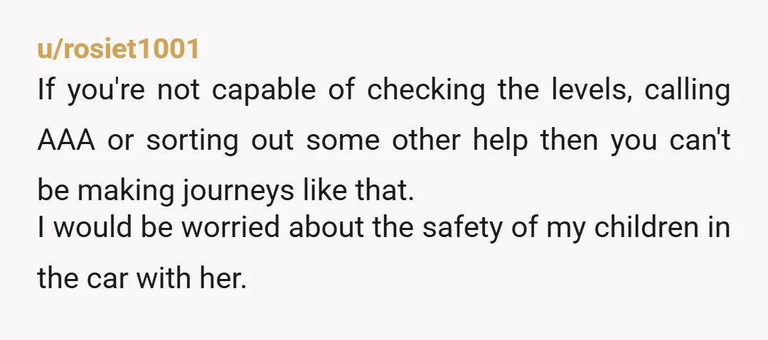 u/cheesefrieswithgravy These symptoms aren’t anxiety and adhd. They are who she is. NTA. This sounds exhausting. How does she not know how to “call” AAA. It’s a literal app on...